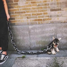 Load image into Gallery viewer, Funny Dog Leash