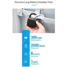 Load image into Gallery viewer, Graffiti Fingerprint Padlock