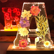 Load image into Gallery viewer, Dried Flower Letters Night Light