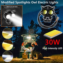 Load image into Gallery viewer, Modified Spotlights Owl Electric Lights
