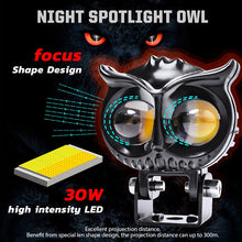 Load image into Gallery viewer, Modified Spotlights Owl Electric Lights