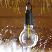 Load image into Gallery viewer, 2024 New Outdoor Camping Hanging Type-C Charging Retro Bulb Light