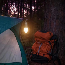 Load image into Gallery viewer, 2024 New Outdoor Camping Hanging Type-C Charging Retro Bulb Light