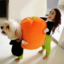 Load image into Gallery viewer, Funny Pet Costumes