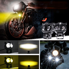 Load image into Gallery viewer, Modified Spotlights Owl Electric Lights
