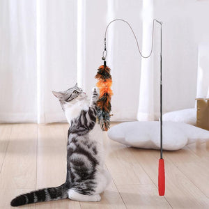 Feather Teaser Cat Toy Retractable Cat Feather Toy Wand