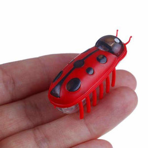 Super Robot Bug Toy for Cats - 2 Pcs