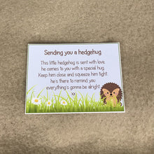 Load image into Gallery viewer, Mini Knitted Hedgehog Decoration