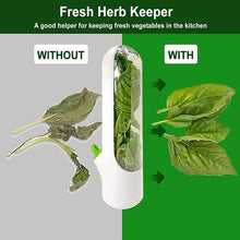 Load image into Gallery viewer, Herb Fresh Saver