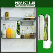 Load image into Gallery viewer, Herb Fresh Saver