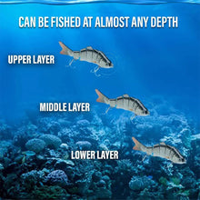 Load image into Gallery viewer, Bionic Swimming Lures Set