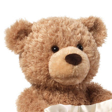 Load image into Gallery viewer, Peek-a-Boo Teddy Bear