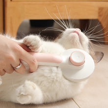 Load image into Gallery viewer, Self Cleaning Slicker Brushes For Pet