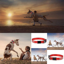 Load image into Gallery viewer, DOG LED COLLARS