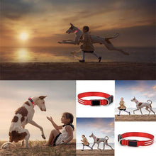 Load image into Gallery viewer, Dog LED Collars