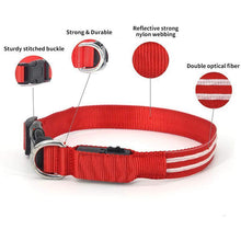 Load image into Gallery viewer, DOG LED COLLARS