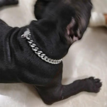 Load image into Gallery viewer, Zirconia Lock Buckle Dogs Chain Necklace