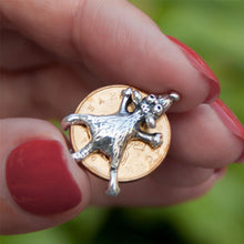 Load image into Gallery viewer, Mouse Charm Talisman | Protecting Your Wealth