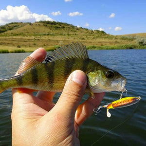 Fishing Lures with Propeller Tractor